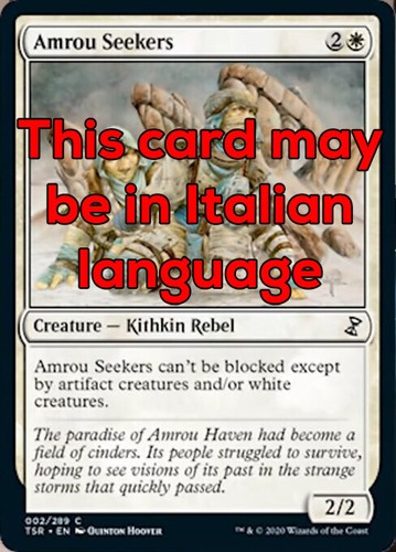 Mtg amrou seekers - mtg, 4x